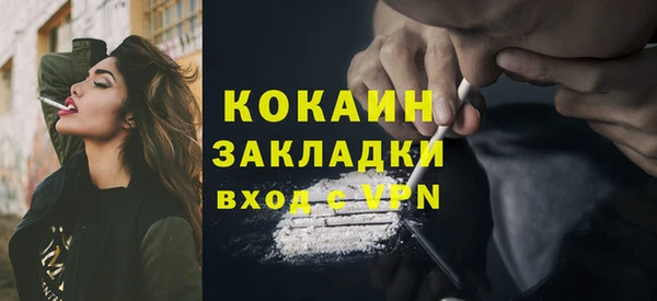 крисы Богданович