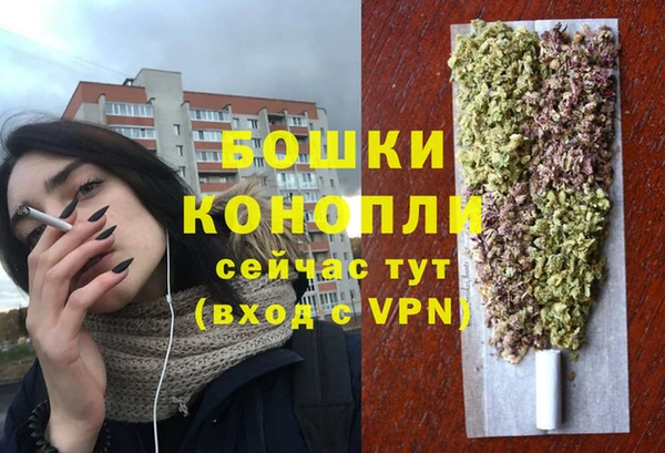 не бодяженный Бородино