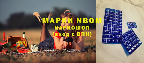дурь Сатка
