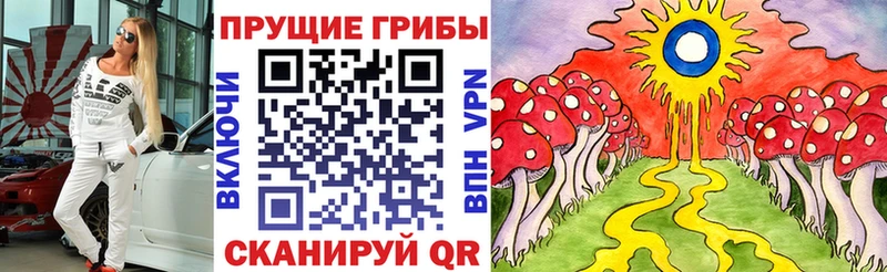 купить закладку  Кирс  Псилоцибиновые грибы Cubensis 